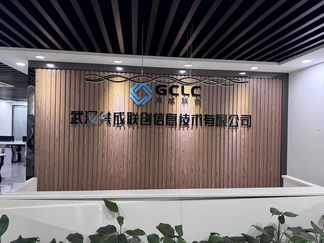 李皇公司 专业信息技术咨询服务的领航者